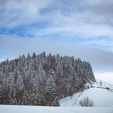 Skyta Krasnyk Appartement Krasnik